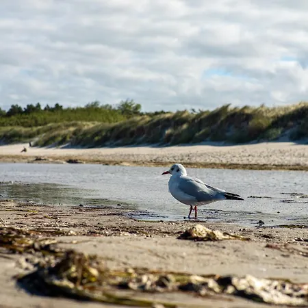 Tatil Evi Strandhaus 43a Dierhagen